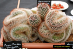 351.2019-09-08-Dorset-County-Show-@-Dorchester.-351-