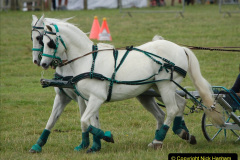 395.2019-09-08-Dorset-County-Show-@-Dorchester.-395-