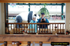 014.2019-09-10-Cardiff-South-Wales.-152-