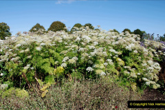 003.2019-09-16-Wells-Somerset.-200-