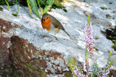 074.2019-09-16-Wells-Somerset.-129-