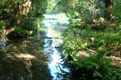 109.2019-09-16-Wells-Somerset.-94-