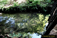110.2019-09-16-Wells-Somerset.-93-
