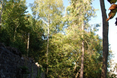 113.2019-09-16-Wells-Somerset.-90-
