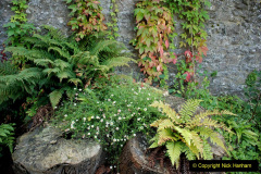 114.2019-09-16-Wells-Somerset.-89-