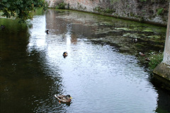 141.2019-09-16-Wells-Somerset.-62-