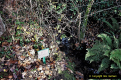 124.2019-11-28-The-SR-no-running-day-Swanage-to-Wareham.-124-