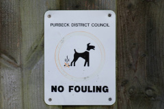 125.2019-11-28-The-SR-no-running-day-Swanage-to-Wareham.-125-