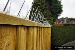 2021-04-02-Pigeon-fence-protector.-Garden-makeover.-64-064