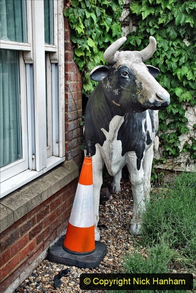 2021-06-10-to-12-Thame-Oxfordshire.-15-One-of-the-meny-cows-in-Thame.-113