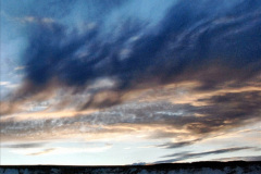 1_105.2021-08-14-SR-Volunteers-Staff-Boat-trip-BBQ-Poole-Harbour-Poole-Bay.-105-