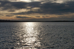 1_113.2021-08-14-SR-Volunteers-Staff-Boat-trip-BBQ-Poole-Harbour-Poole-Bay.-113-