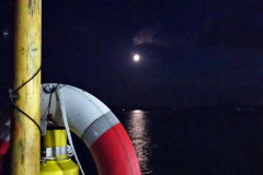 1_137.2021-08-14-SR-Volunteers-Staff-Boat-trip-BBQ-Poole-Harbour-Poole-Bay.-137-