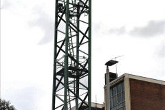 018.2021-07-31-Poole-Hospital-Crane-Operation.-18-