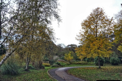 004.2021-11-13-A-circular-tour-of-Poole-Park-Poole-Dorset.-4-Start-of-tour.-