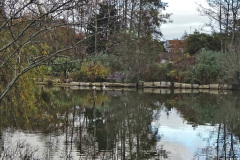 005.2021-11-13-A-circular-tour-of-Poole-Park-Poole-Dorset.-5-Start-of-tour.-