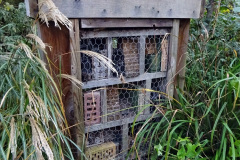 008.2021-11-13-A-circular-tour-of-Poole-Park-Poole-Dorset.-8-Start-of-tour.-