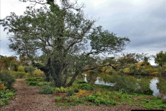 022.2021-11-13-A-circular-tour-of-Poole-Park-Poole-Dorset.-22-Start-of-tour.-