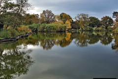 024.2021-11-13-A-circular-tour-of-Poole-Park-Poole-Dorset.-24-Start-of-tour.-