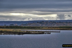 030.2021-11-13-A-circular-tour-of-Poole-Park-Poole-Dorset.-30-Start-of-tour.-