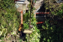 2021-04-04-A-Poole-garden-in-Spring.-34-034