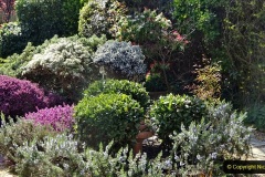 2021-04-04-A-Poole-garden-in-Spring.-51-051