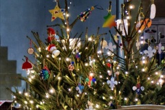 2021-12-14-St.-Aldhelms-Christmas-Trees-Branksome-Poole-Dorset.-45-045