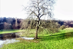 112.2022-01-05-Poole-to-Blandford-Forum-and-Return-via-the-X8-bus.-112-Poole-Blandford-Forum-and-Poole.-
