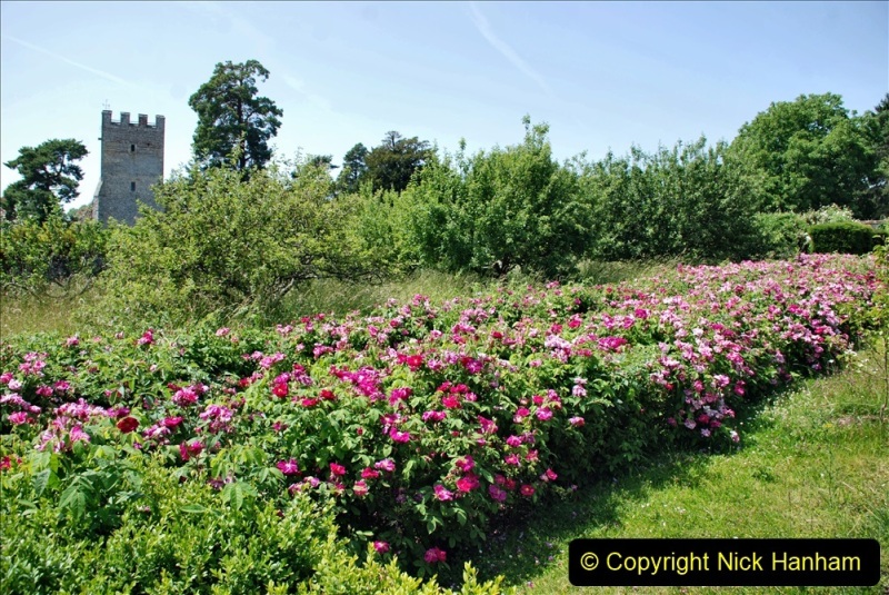 2022-06-17-Greys-Court-NT-Oxfordshire.-Flowers-Roses-and-Art.-153-153