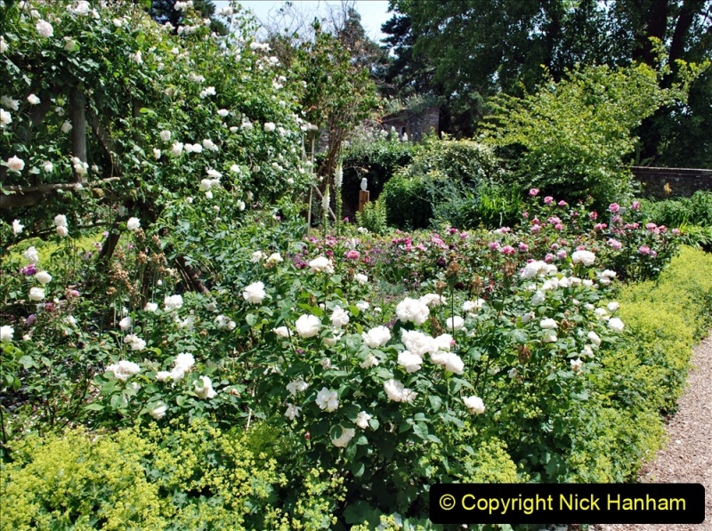 2022-06-17-Greys-Court-NT-Oxfordshire.-Flowers-Roses-and-Art.-46-046