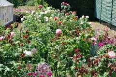2022-06-17-Greys-Court-NT-Oxfordshire.-Flowers-Roses-and-Art.-147-147