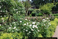 2022-06-17-Greys-Court-NT-Oxfordshire.-Flowers-Roses-and-Art.-46-046