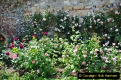 2022-06-17-Greys-Court-NT-Oxfordshire.-Flowers-Roses-and-Art.-47-047