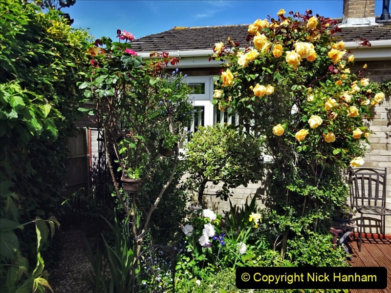 2022-05-22-A-Poole-Garden-in-Early-Summer.-32-032
