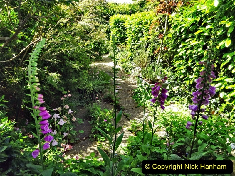 2022-05-22-A-Poole-Garden-in-Early-Summer.-57-057