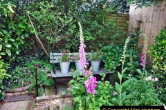 2022-05-22-A-Poole-Garden-in-Early-Summer.-53-053