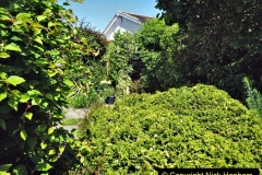 2022-05-22-A-Poole-Garden-in-Early-Summer.-87-087