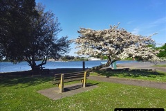 025.2023-05-21-Poole-Park-Poole-Dorset.-25-