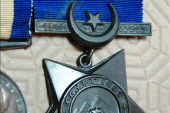 A medal collection (20)20