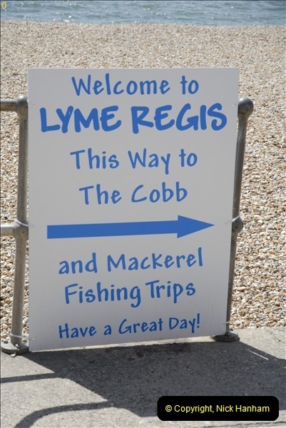 2011-05-25 Lyme Regis, Dorset.   (14)157