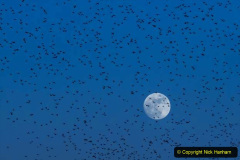 091.Astronomy-Number-5.-91