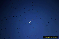 120.Astronomy-Number-5.-120