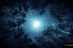 142.Astronomy-Number-5.-142