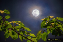 179.Astronomy-Number-5.-179