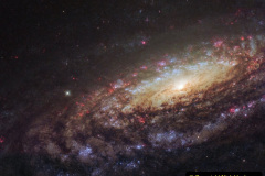 This NASA/ESA Hubble Space Telescope image shows a spiral galaxy known as NGC 7331. First spotted by the prolific galaxy hunter William Herschel in 1784, NGC 7331 is located about 45 million light-years away in the constellation of Pegasus (The Winged Horse). Facing us partially edge-on, the galaxy showcases it’s beautiful arms which swirl like a whirlpool around its bright central region. Astronomers took this image using Hubble’s Wide Field Camera 3 (WFC3), as they were observing an extraordinary exploding star — a supernova — which can still be faintly seen as a tiny red dot near the galaxy’s central yellow core. Named SN2014C, it rapidly evolved from a supernova containing very little Hydrogen to one that is Hydrogen-rich — in just one year. This rarely observed metamorphosis was luminous at high energies and provides unique insight into the poorly understood final phases of massive stars. NGC 7331 is similar in size, shape, and mass to the Milky Way. It also has a comparable star formation rate, hosts a similar number of stars, has a central supermassive black hole and comparable spiral arms. The primary difference between our galaxies is that NGC 7331 is an unbarred spiral galaxy — it lacks a “bar” of stars, gas and dust cutting through its nucleus, as we see in the Milky Way. Its central bulge also displays a quirky and unusual rotation pattern, spinning in the opposite direction to the galactic disc itself. By studying similar galaxies we hold a scientific mirror up to our own, allowing us to build a better understanding of our galactic environment which we cannot always observe, and of galactic behaviour and evolution as a whole.