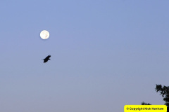 131.Astronomy-Number-9.-131