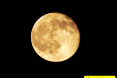 219.Astronomy-Number-9.-219