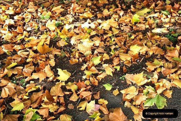 2018-10-21 Dyrham Park (NT) Autumn Colour. Near Bath, Somerset.  (52)052