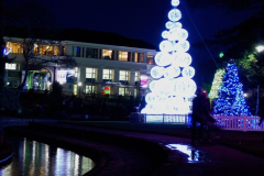 2018-11-30 Bournemouth Christmas Lights.  (59)059