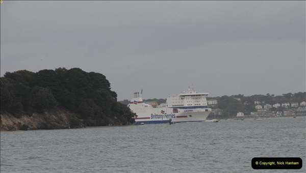 2012-10-18 Visit to Brownsea Island, Poole Harbour, Dorset.  (113)113